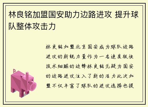林良铭加盟国安助力边路进攻 提升球队整体攻击力